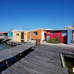 MASTER ABROLHOS SLIDESHOW 2018 203