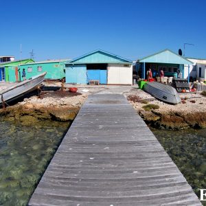 MASTER ABROLHOS SLIDESHOW 2018 204