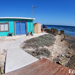 MASTER ABROLHOS SLIDESHOW 2018 205