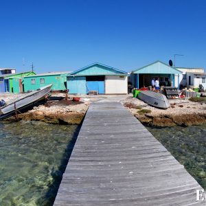 MASTER ABROLHOS SLIDESHOW 2018 206