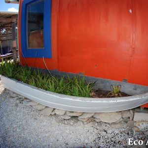 MASTER ABROLHOS SLIDESHOW 2018 208