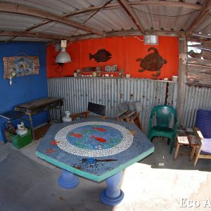 MASTER ABROLHOS SLIDESHOW 2018 213
