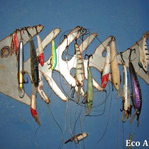 MASTER ABROLHOS SLIDESHOW 2018 214