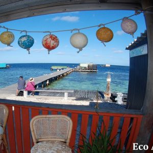 MASTER ABROLHOS SLIDESHOW 2018 217