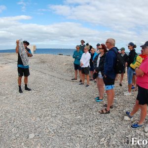 MASTER ABROLHOS SLIDESHOW 2018 233
