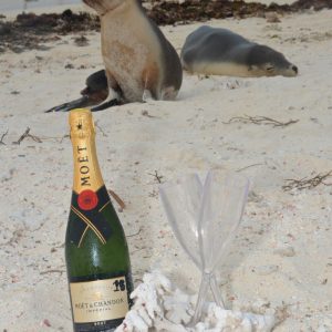 MASTER ABROLHOS SLIDESHOW 2018 253