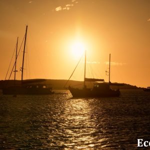 MASTER ABROLHOS SLIDESHOW 2018 259