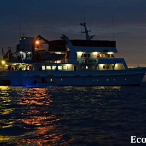 MASTER ABROLHOS SLIDESHOW 2018 265