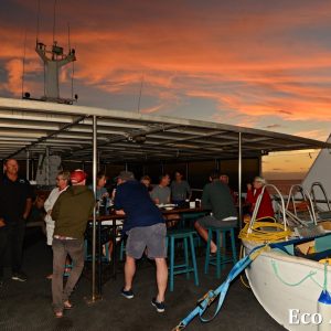 MASTER ABROLHOS SLIDESHOW 2018 269
