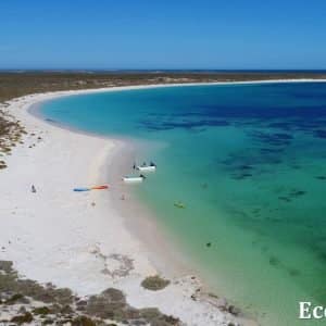 MASTER ABROLHOS SLIDESHOW 2018 272