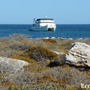 MASTER ABROLHOS SLIDESHOW 2018 281