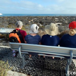 MASTER ABROLHOS SLIDESHOW 2018 283