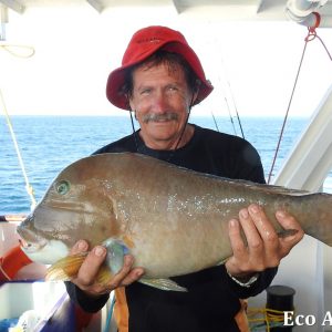MASTER ABROLHOS SLIDESHOW 2018 291