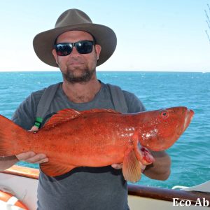 MASTER ABROLHOS SLIDESHOW 2018 292