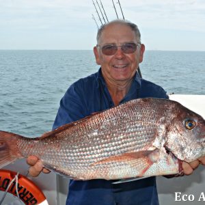 MASTER ABROLHOS SLIDESHOW 2018 293