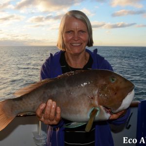 MASTER ABROLHOS SLIDESHOW 2018 298
