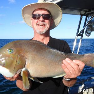 MASTER ABROLHOS SLIDESHOW 2018 302