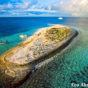 MASTER ABROLHOS SLIDESHOW 2018 308