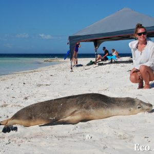 MASTER ABROLHOS SLIDESHOW 2018 310