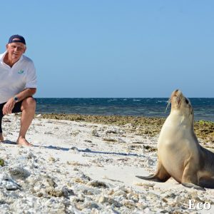 MASTER ABROLHOS SLIDESHOW 2018 314