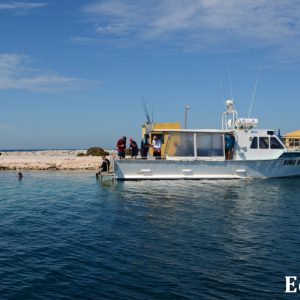 MASTER ABROLHOS SLIDESHOW 2018 330