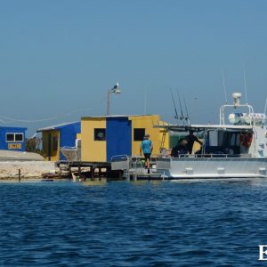 MASTER ABROLHOS SLIDESHOW 2018 331