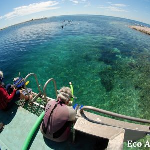 MASTER ABROLHOS SLIDESHOW 2018 333