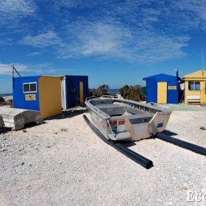 MASTER ABROLHOS SLIDESHOW 2018 334