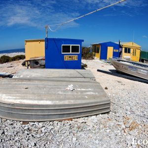 MASTER ABROLHOS SLIDESHOW 2018 335