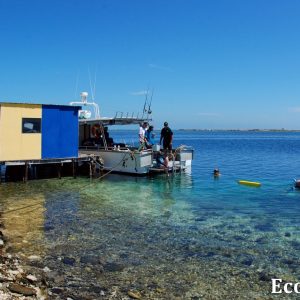 MASTER ABROLHOS SLIDESHOW 2018 336