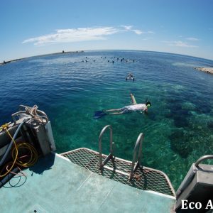MASTER ABROLHOS SLIDESHOW 2018 337