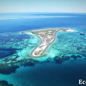 MASTER ABROLHOS SLIDESHOW 2018 340