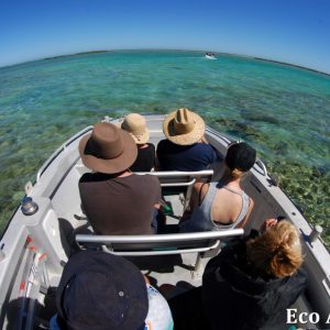 MASTER ABROLHOS SLIDESHOW 2018 345