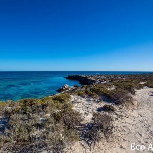 MASTER ABROLHOS SLIDESHOW 2018 346