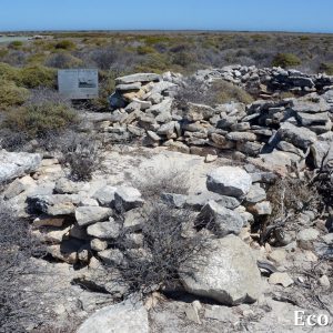 MASTER ABROLHOS SLIDESHOW 2018 348