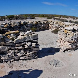MASTER ABROLHOS SLIDESHOW 2018 349