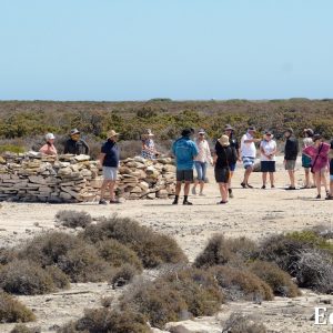 MASTER ABROLHOS SLIDESHOW 2018 353