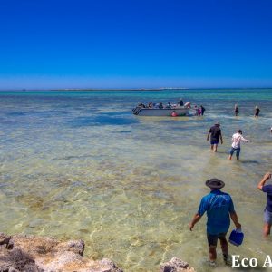 MASTER ABROLHOS SLIDESHOW 2018 359