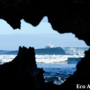 MASTER ABROLHOS SLIDESHOW 2018 362