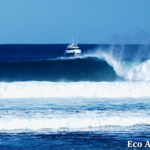 MASTER ABROLHOS SLIDESHOW 2018 365