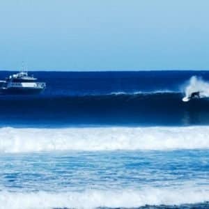 MASTER ABROLHOS SLIDESHOW 2018 366
