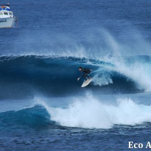 MASTER ABROLHOS SLIDESHOW 2018 368