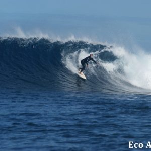 MASTER ABROLHOS SLIDESHOW 2018 370