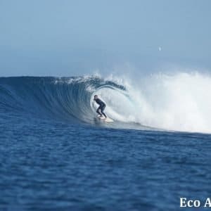 MASTER ABROLHOS SLIDESHOW 2018 371