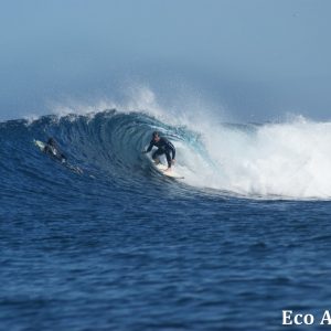 MASTER ABROLHOS SLIDESHOW 2018 373
