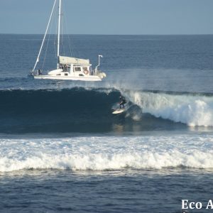 MASTER ABROLHOS SLIDESHOW 2018 374