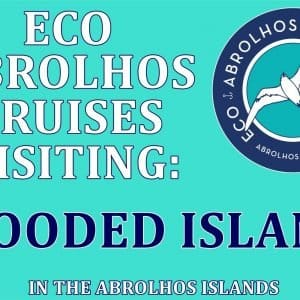 MASTER ABROLHOS SLIDESHOW 2018 376