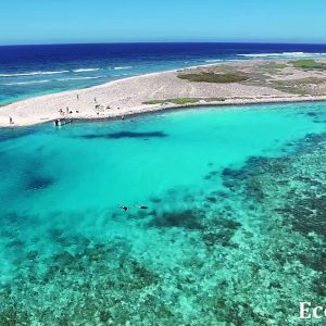 MASTER ABROLHOS SLIDESHOW 2018 377