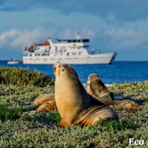 MASTER ABROLHOS SLIDESHOW 2018 381
