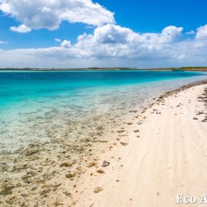 MASTER ABROLHOS SLIDESHOW 2018 384